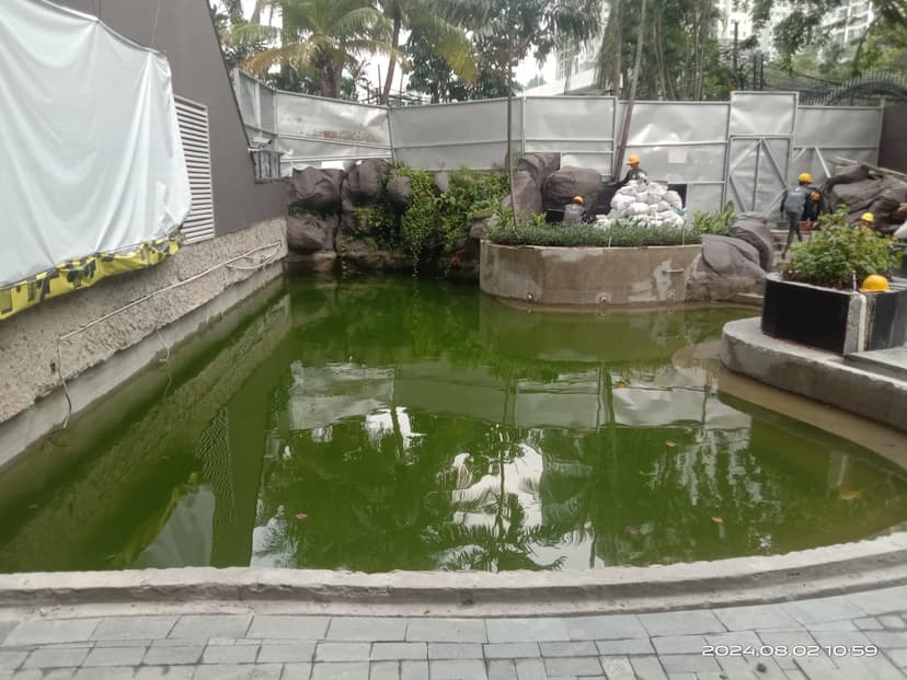 Kolam Koi